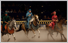 Arabian Nights Orlando Dinner Show